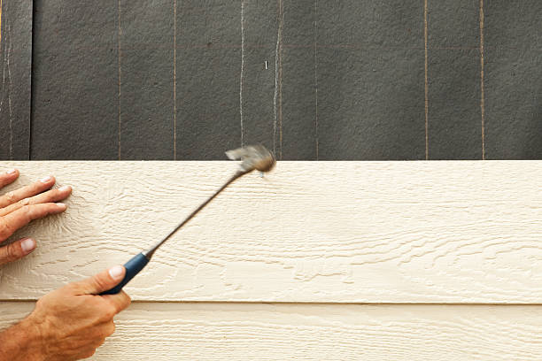 Best Stone Veneer Siding  in Lake Park, GA